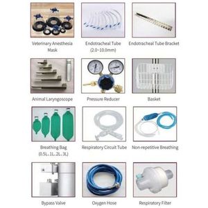 VA5 Hochwertige Derry Small Animal Surgery Equipment Research Nützliches Veterinär anästhesie gerät Pets Hospital - Product Image 5