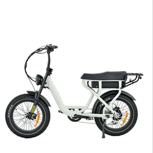 China ODM/OEM 20 Inch Retro Big Saddle 48V 750W Big Power Wholesale Rear Motor Mountain Fat E Bike Full Suspension Ebike