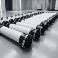 Membrane d'ultrafiltration UF en PVC Bilan de 10 pouces, colonne de fibres creuses de 250 mm pour le traitement de l'eau industrielle, 50 m²