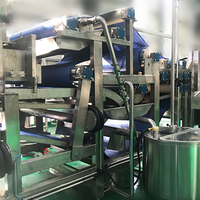 Industriële Sapcentrifuge Machine Fruitconcentraat Productielijn Appelpeer Ananas Riem Type Sapafzuiger