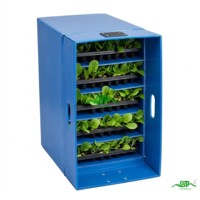 Plateau de propagation pour semis en PP, bac de pépinière creux, boîte de culture de plantes, conteneur de germination pour serre à transmission lumineuse