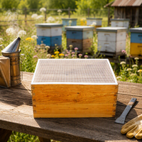 Meistverkaufter Lebensmittelechter Bienenstock-Königinnen-Absperrgitter aus Kunststoff für 10-Rahmen-Systeme (1 Stück)
