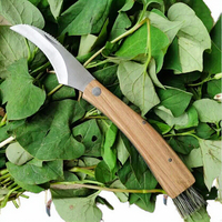 Couteau de greffage et de cueillette de champignons en bois de rose, lame en acier à haute teneur en carbone de 6 cm, portable pour le camping, vente en gros du fabricant