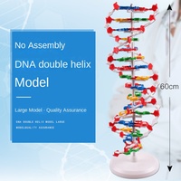 Modelo de Estructura de ADN de Doble Hélice de Plástico Kepu para Enseñanza de Biología en el Grado Secundario, Instrumento de Demostración