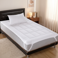 Surmatelas de matelas en mousse à mémoire de forme imperméable et rafraîchissant de taille Queen, anti-escarres, pour hôpital, hôtel et usage domestique