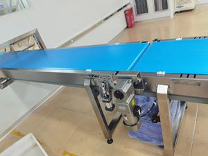 Venta Directa de Fábrica, Cinta Transportadora de Grado Alimenticio, Transportador de Cajas de Pan, Línea de Transporte Industrial para Empaque - Product Image 5