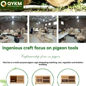 Grande volière en bois pour pigeons, résistante aux intempéries, pour l'élevage de pigeons voyageurs, fournitures d'élevage - Product Image 4