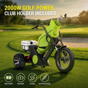 Potente Carrito de Golf de 2000W y 20Ah Motocicleta Eléctrica de <span class=keywords><strong>2</strong></span> Ruedas con Hielera Stock en Almacén de EE. UU. Batería de Litio - Product Image 1