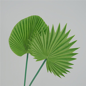 Vente en gros de feuilles de palmier vertes, éventail de fleurs pour décoration d'hôtel, accessoires de photographie de mariage, feuille artificielle - Product Image 1