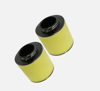 Filtre à air en mousse de remplacement 17254-HM8-000 compatible avec les VTT TRX250 Recon, TRX250EX Sportrax dotés de filtres à air lavables.