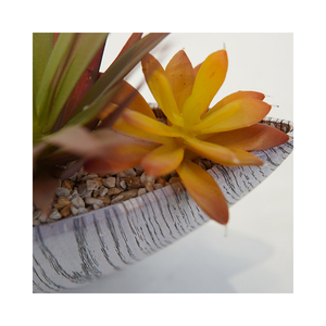 Tavola di decorazione Bonsai Premium con plastica succulenta Aloe misto <span class=keywords><strong>piante</strong></span> verdi artificiali succulente e <span class=keywords><strong>piante</strong></span> di Aloe - Product Image 3