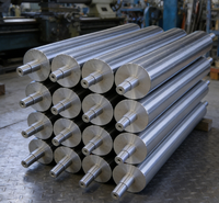 Nouveaux rouleaux en acier inoxydable chromés à froid avec roulements à billes fabriqués en Chine depuis 20 ans