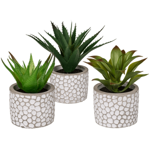 Décoration Succulentes en pot ciment blanc/gris, - Product Image 1