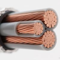 Cable de alimentación eléctrica con conductor de cobre aislado XLPE de alto voltaje de bajo precio 4 núcleos 1,5-240 Sqmm para centrales eléctricas