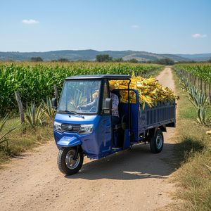 Motocarro de tres ruedas para transporte agrícola, motocicleta de carga, rickshaw motorizado de tres asientos - Product Image 2