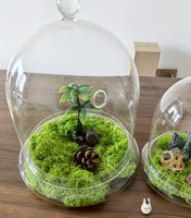 Récipient de vase de terrarium en verre clair moderne avec base de trou d'air pour la maison dôme de cloche d'affichage de table pour la pièce maîtresse de fleur de plante