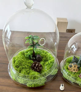 Contenitore <span class=keywords><strong>moderno</strong></span> <span class=keywords><strong>in</strong></span> <span class=keywords><strong>vetro</strong></span> trasparente per terrario con Base Airhole per casa Display da tavolo Cloche Dome per il <span class=keywords><strong>centrotavola</strong></span> fiore vegetale - Product Image 4
