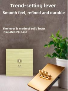 Zhikong Dashi usine interrupteur mural intelligent BG2KGoldRS485 panneau métallique prend en charge la télécommande pour la maison hôtel puissance <span class=keywords><strong>Ethernet</strong></span> 1A - Product Image 5