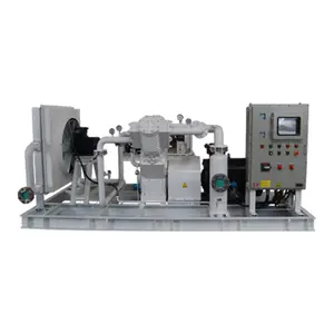 High Pressure Reciprocating Monoxide Dioxide Hydrogen Gas Compressor 300bar H2 Gas Compressor Booster Pump Filling Machine