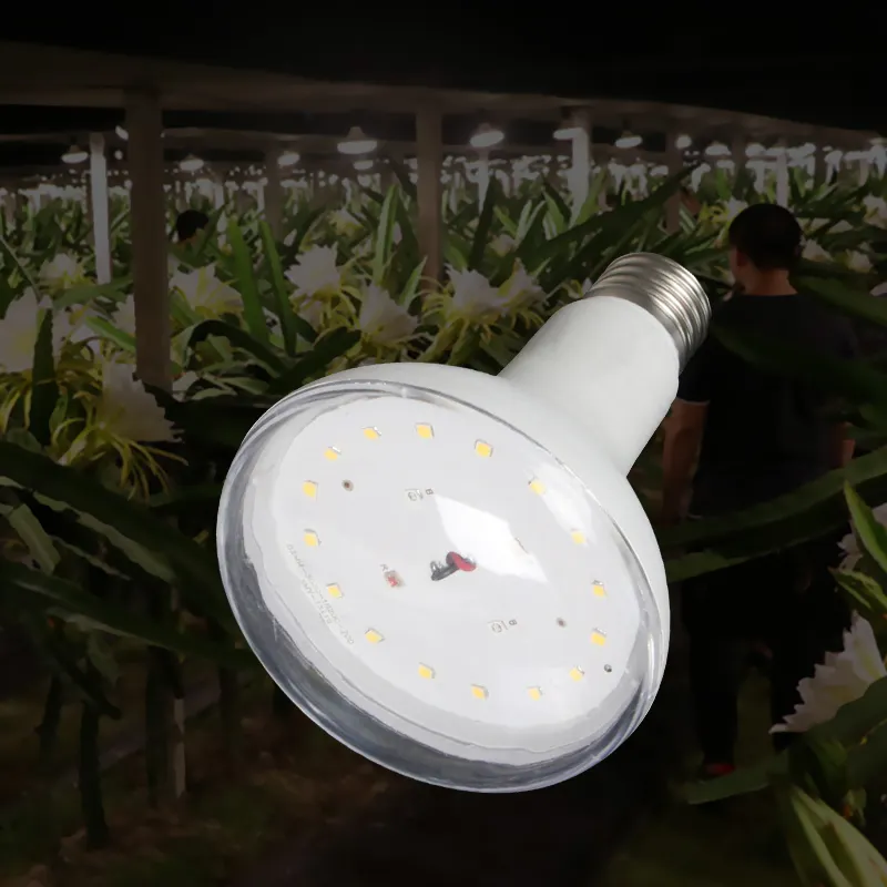 Farming greenhouse cultivation strawberry dragon fruit fruit fill light full spectrum LED bulb plant grow light