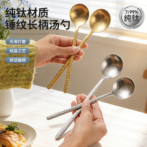 Cuchara de Titanio Puro Martillado con Mango Largo, Estilo Coreano, Cuchara Redonda para Postre y Té - Product Image 1