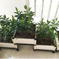 I790 kotak pot tanaman sayuran, kotak bunga tebal dengan roda dapat digerakkan, kotak penanam balkon