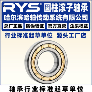ตลับลูกปืนลูกกลิ้งทรงกระบอก rys 311 312 m EM C P5 C3เขาวงกตขนาดเส้นผ่านศูนย์กลางภายใน50มม - Product Image 4