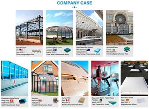 Hoja De Cubierta Transparente 6Mm 8Mm 10Mm Celulaire Laminas De Policarbonato Techos Alveolaire Bladen Precio Por Kg - Product Image 2