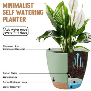 Vaso Autoirrigante JIN PENG per <span class=keywords><strong>Piante</strong></span> Grasse con Fori di Drenaggio e Sottovaso per <span class=keywords><strong>Piante</strong></span> <span class=keywords><strong>da</strong></span> Interno ed Esterno - Product Image 2