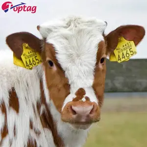 125 Khz identificación Rfid oreja etiquetas para vaca cerdo con número de impresión