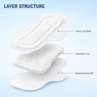 Serviettes hygiéniques quotidiennes en gros pour femmes, douces et confortables, en carton