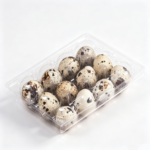 Barquettes à œufs <span class=keywords><strong>en</strong></span> plastique transparent, capacité pour œufs de caille, design empilable pour un stockage et un transport sécurisés pour les fermes, les épiceries et l'usage domestique - Product Image 3