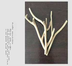 Y-Vormige Bifurcatie Natuurlijk Drijfhout Set Voor <span class=keywords><strong>Aquarium</strong></span> Unieke Diy Houten Stokken & Houtsnippers Gebogen Klein <span class=keywords><strong>Aquarium</strong></span> Decor - Product Image 2