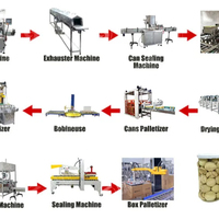 Champignons frais Meilleure qualité et prix Ligne de production de champignons en conserve