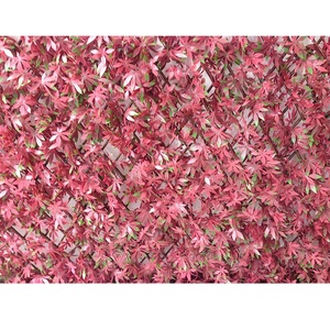 Ignifuge Mur Vert Artificiel <span class=keywords><strong>Extensible</strong></span> Clôture En Treillis De Saule - Product Image 2