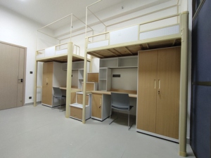 <span class=keywords><strong>Lit</strong></span> superposé moderne personnalisé en métal et bois <span class=keywords><strong>avec</strong></span> bureau intégré, <span class=keywords><strong>étagère</strong></span> et armoire de rangement pour chambre, école, dortoir - Product Image 4