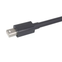 Câble MINI mâle vers HDMI femelle 4K 30Hz passif