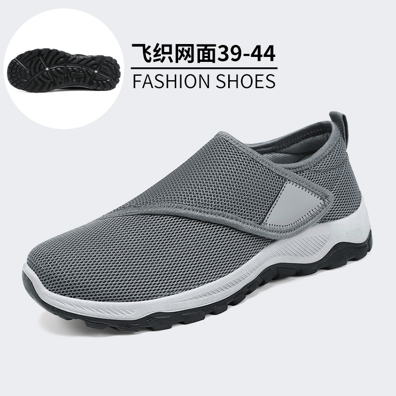 Mâle B-P66Gris