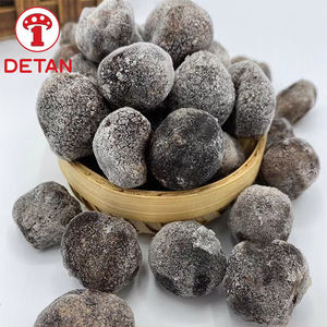 Detan, trufa negra congelada de alta calidad a bajo precio, Frozen <span class=keywords><strong>melanosporum</strong></span> - Product Image 5