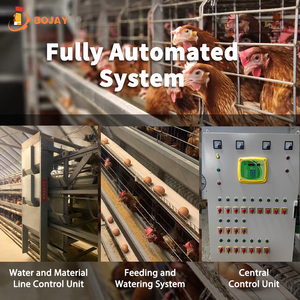 Capa Granja Pollo Huevo Gallinas Ponedoras Equipo Cría <span class=keywords><strong>de</strong></span> animales Sistema automático <span class=keywords><strong>de</strong></span> jaula <span class=keywords><strong>de</strong></span> batería en <span class=keywords><strong>venta</strong></span> <span class=keywords><strong>Aves</strong></span> <span class=keywords><strong>de</strong></span> <span class=keywords><strong>corral</strong></span> - Product Image 4