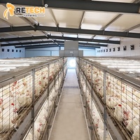 Équipement automatisé 2026 pour cages d'élevage de poulets de chair avec système de collecte des œufs à couver