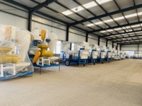 Machine de nettoyage et de calibrage des graines de soja, de café et de sésame d'Afrique, équipement de nettoyage à tamis d'air pour usage agricole et traitement intensif