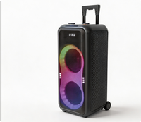 Altavoz Inalámbrico con Ruedas para Fiestas, con Luces RGB en Forma de 8, Doble Woofer, Doble Micrófono, TF, USB, FM, Karaoke para Exteriores
