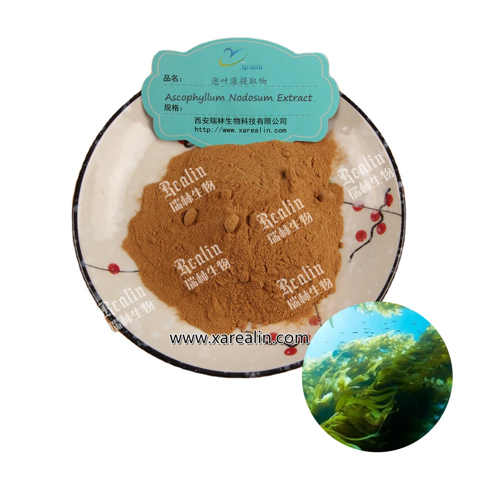 Водорастворимый экстракт морских водорослей, 10:1 20:1 30:1, порошок Ascophyllum Nodosum, экстракт Ascophyllum Nodosum