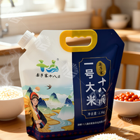 Sachet Doypack personnalisé imprimé 500ML 1L pour lessive, shampoing, savon liquide, recharge avec bec verseur et poignée