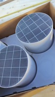 Filtre à particules diesel en carbure de silicium en cordiérite (DPF) Revêtement Pt Pd Rh pour convertisseurs catalytiques de traitement des gaz d'échappement
