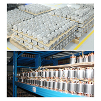 60W 1-Phasen-Industrie-Vibratormotor 110V/220V Bürstenloser Exzenter IP66 DC 12V 24V Kleiner wasserdichter Beton vibrator