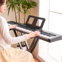 BD MUSIC 801 LED 88-Key Portable Electronic Keyboard & Digital Midi Controller with Built-In Speaker Lightweight Made of Plastic