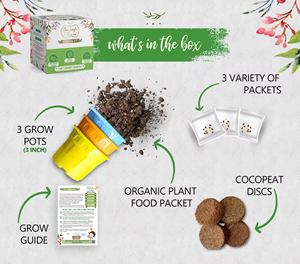 Kit de jardinage de salade unique avec pots de plantation pour légumes, épices et herbes pour pots de fleurs et jardinières - Product Image 3