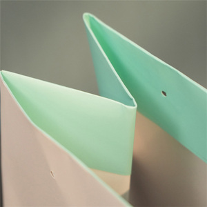 Wholesale Durable Coated Paper Shopping <b>Bag</b> Full Color Print For Retail Shop Daily <b>Packing</b> - Product Image 4